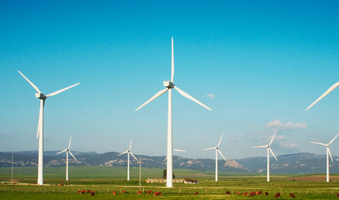 008PG国际(中国区)-官方网站